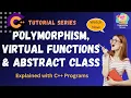 C Polymorphism Virtual Function and Abstract Classes Explained