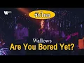 Download Lagu [Sub Thai] Are You Bored Yet? (feat. Clairo) - Wallows, Clairo