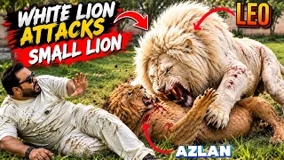 Manay samjha Leo khail raha Azlan kay sath😱Leo nay nay Attack kar dia😳(mian saqib)