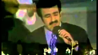 نور مهنا قالت أن قصرنا عالي بنا قلت لها أنني فوقه طائر دندنها