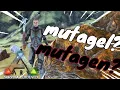 HOW TO GET MUTAGEL AND MUTAGEN IN GEN 2 Ark Survival Evolved tips and tricks