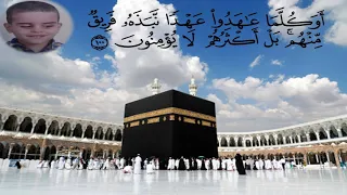 سورة البقرة الربع السادس من الجزء الأول الآيات من 92 إلي 105 