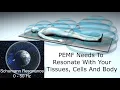 The Best PEMF Frequency Range to Use Schumann Resonances 0-50Hz