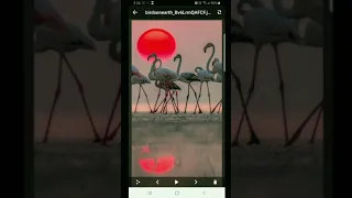 New BatchSave - Instasave for instagram