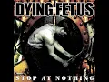 Download Lagu Dying Fetus - Stop at Nothing (FULL ALBUM 2003)
