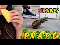CAN A PINEAPPLE SURVIVE MY CONVERSE RUN STAR