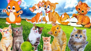Download Sound of familiar animals. Learn about kittens. Sounds of cats meow. Kittens meow. MP3