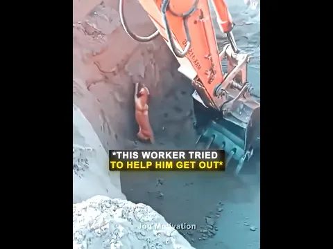 They Saved The Dog ❤️‍🩹