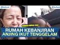 Download Lagu VIRAL! WANITA DI BALI MENANGIS RUMAH KEBANJIRAN, BEBERAPA ANJING TENGGELAM