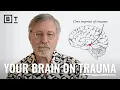 Lagu Your reality narrows after trauma — here’s how to expand it | Bessel van der Kolk