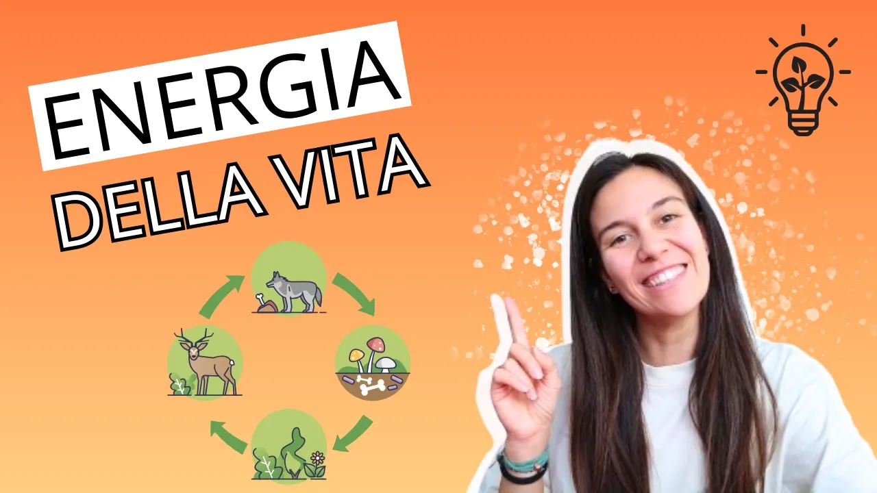 ENERGIA NEGLI ECOSISTEMI: il flusso che sostiene il pianeta