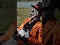 Download Lagu Já de tanta palhaçada  🎥 Jester