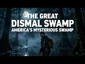 What Really Happened Inside The Great Dismal Swamp