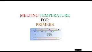 Primer Melting Temperature