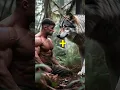 Download Lagu loon and bat mix and that rejalt #animals #lionKing #ox #bull #hybrid#animals #fusion