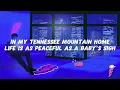 Dolly Parton - My Tennessee Mountain Home (Lyrics)
