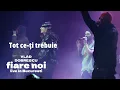 Download Lagu Vlad Dobrescu - Tot ce-ți trebuie (feat. Macanache, Oscar, Chimie)