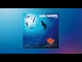 David Quinlan - Águas Profundas (CD Águas Profundas Ao Vivo) [Áudio Oficial]