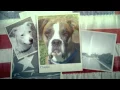 Fee waived adoptions at PAWS of Dearborn County for Veterans