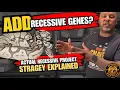 How to Add New Recessive Genes Without Stalling Your Ball Python Project