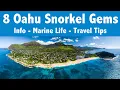 Our TOP 8 Oahu Snorkel Spots - Everything you need to know