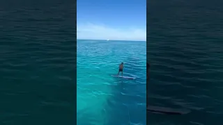 Slow sailing = towing fun! #sailing #fun #shorts