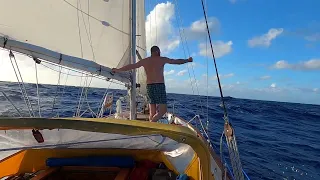 The Quick Reef