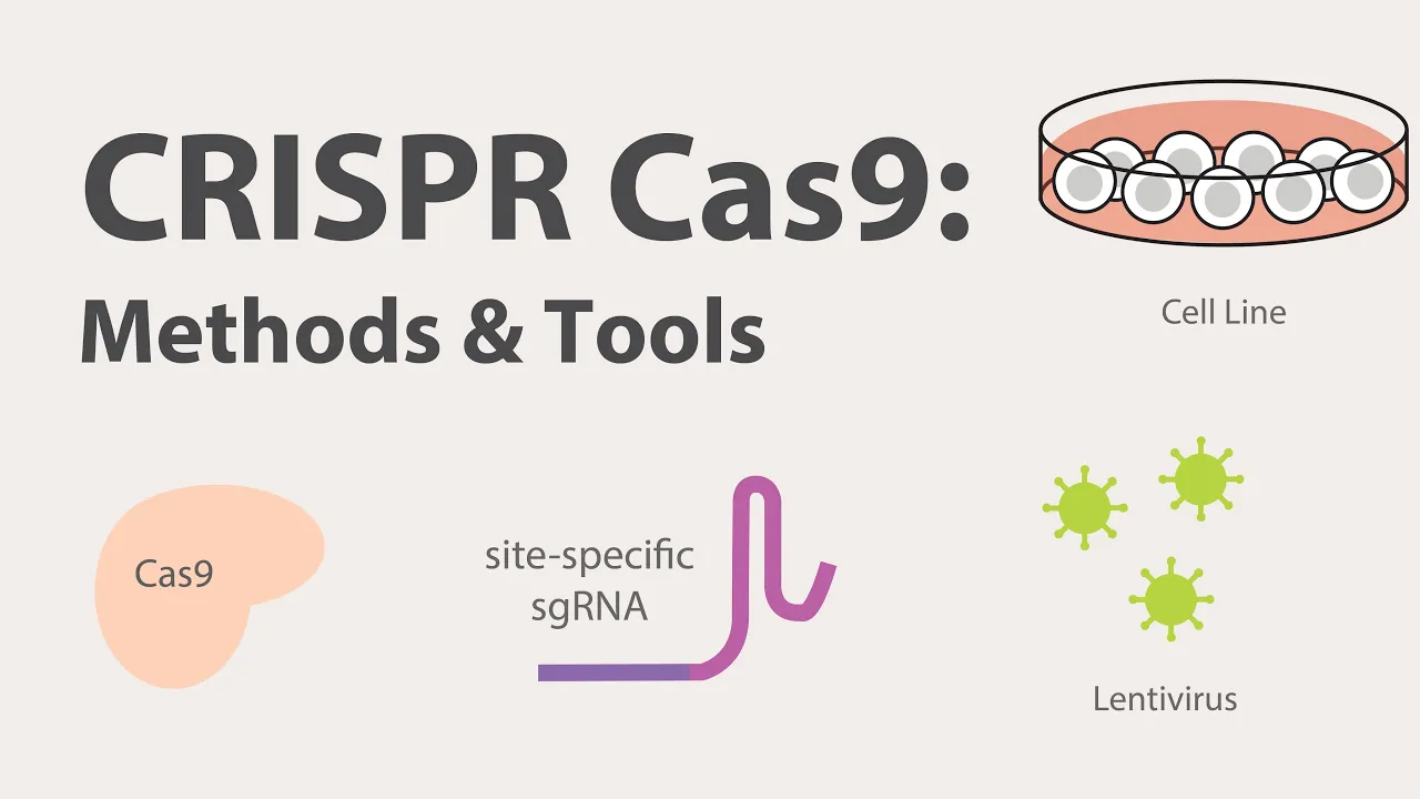 2) CRISPR Cas9 - Methods and Tools