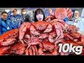 삿포로1탄) 총 xxx만원..😱 털게 11마리 10KG 털었습니다! 일본 수산시장 초토화
