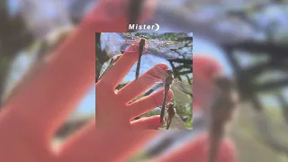 𝙏𝙚𝙖𝙢 𝙇𝙊𝙍𝘿𝙀 𝙨𝙡𝙤𝙬𝙚𝙙 𝙖𝙣𝙙 𝙧𝙚𝙫𝙚𝙧𝙗 