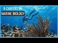 9 Careers in Marine Biology You Should Know About Careers in Biology