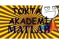 MATLAB TRAINING - A TYPICAL BEGINNER MISTAKE MATRIX DIMENSIONS MUST AGREE