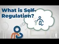 What is Self Regulation