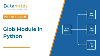 How to Use the Glob Module in Python Python Tutorial