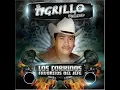 EL TIGRILLO PALMA -LOS CHIQUINARCOS