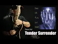 Download Lagu Steve Vai - \