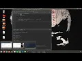 Ralf Dropbox-Imapclient Python script in action