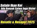 Download Lagu Keliling NUSATIC 2025 Dihari Pertama Banyak Jenis Ikan Hias dan Satwa Disini. @nusaticofficial