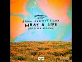 What A Life (feat. Stevie Appleton) (Extended Mix)