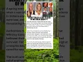 The Taylor University Crash A Tragic Case of Mistaken Identity