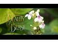 Beauty and The Beast ( Disney Cover ) | Alya Nur Zurayya ft. Memes \u0026 Kevin Ruenda
