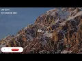 Lana Del Rey - Yes To Heaven (8D AUDIO)