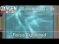 Pacu Ranching Pacus Explained - Wild Tame Ranching Designs Critter Guide
