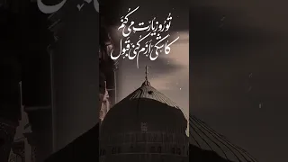 صلی علیک یا نبی کلیپ زیبای آه رسول الله با نوای کربلایی محمد اسداللهی 