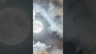 آيات من سورة فصلت للقارئ الشيخ احمد العجمي  آيات من سورة فصلت للقارئ الشيخ احمد العجمي