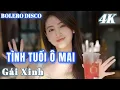 Lagu TÌNH TUỔI Ô MAI - BOLERO DISCO GÁI XINH MỚI NHẤT