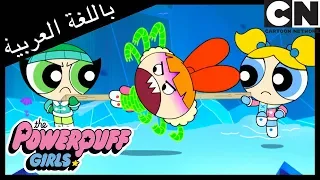 فتيات القوة عنكبوت الحجر البارد كرتون نتورك دندنها