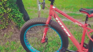 werrason zenga luketu new look moto somo