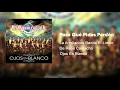 La Arrolladora Banda El Limón De René Camacho - Para Qué Pides Perdón (Audio)
