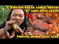 Download Lagu KEPITING BAKAR SAMBAL MERCON HASIL ALAM